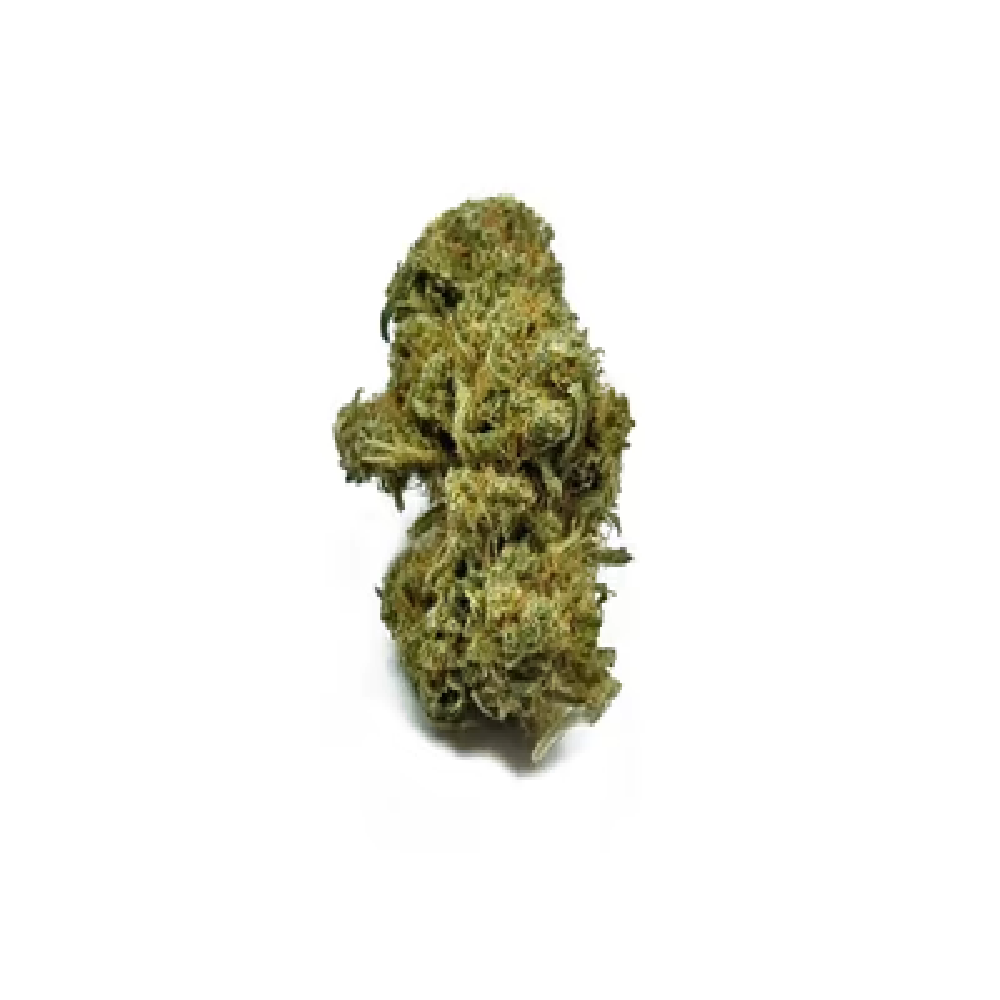 Flower - Yummy